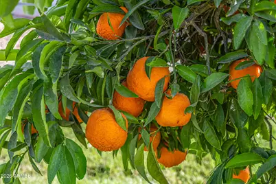 17428 W Rose Lane, Waddell, AZ 85355 - Photo 87