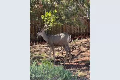 485 Mountain Shadows Drive, Sedona, AZ 86336 - Photo 57