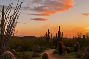 6231 E Evening Glow Dr, Scottsdale, AZ 85266 - Photo 59