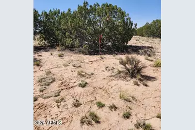 000 N Tbd Drive #180-A, Saint Johns, AZ 85936 - Photo 3