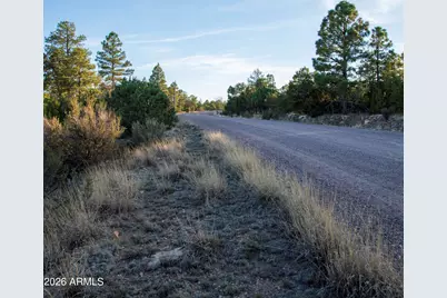 3633 Sunset Ridge Loop #166, Happy Jack, AZ 86024 - Photo 19