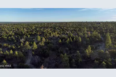 3633 Sunset Ridge Loop #166, Happy Jack, AZ 86024 - Photo 39