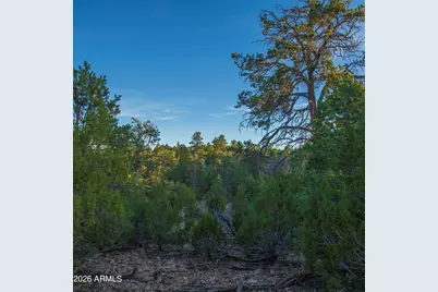 3633 Sunset Ridge Loop #166, Happy Jack, AZ 86024 - Photo 17