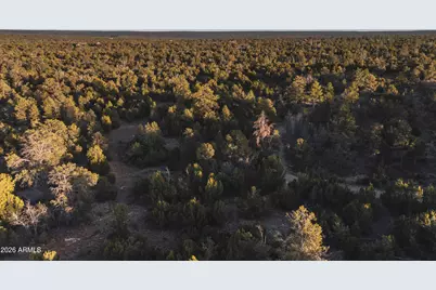 3633 Sunset Ridge Loop #166, Happy Jack, AZ 86024 - Photo 31