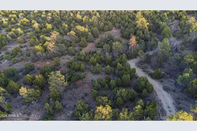 3633 Sunset Ridge Loop #166, Happy Jack, AZ 86024 - Photo 49