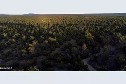 3633 Sunset Ridge Loop #166, Happy Jack, AZ 86024 - Photo 51
