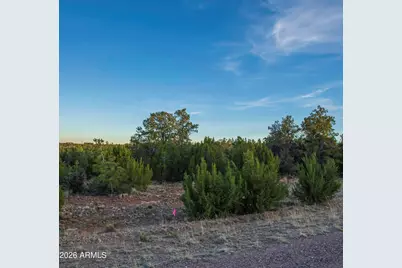 3633 Sunset Ridge Loop #166, Happy Jack, AZ 86024 - Photo 23