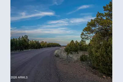 3633 Sunset Ridge Loop #166, Happy Jack, AZ 86024 - Photo 21