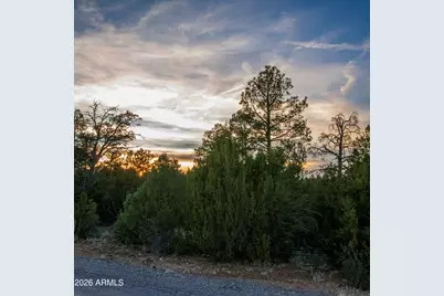 3633 Sunset Ridge Loop #166, Happy Jack, AZ 86024 - Photo 13