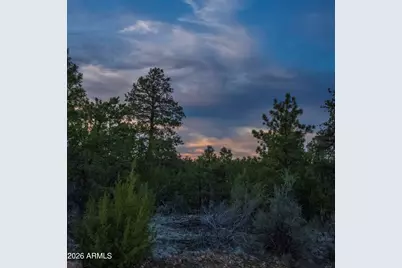 3633 Sunset Ridge Loop #166, Happy Jack, AZ 86024 - Photo 27
