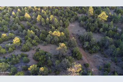 3633 Sunset Ridge Loop #166, Happy Jack, AZ 86024 - Photo 55