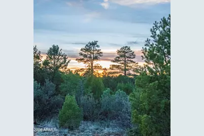 3633 Sunset Ridge Loop #166, Happy Jack, AZ 86024 - Photo 29
