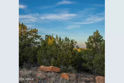 3633 Sunset Ridge Loop #166, Happy Jack, AZ 86024 - Photo 25