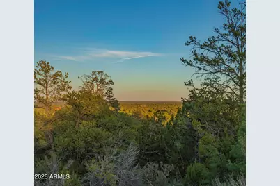 3633 Sunset Ridge Loop #166, Happy Jack, AZ 86024 - Photo 11