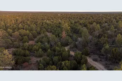 3633 Sunset Ridge Loop #166, Happy Jack, AZ 86024 - Photo 43