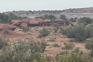 Lot 222 River Springs Ranch --, Saint Johns, AZ 85936 - Photo 1