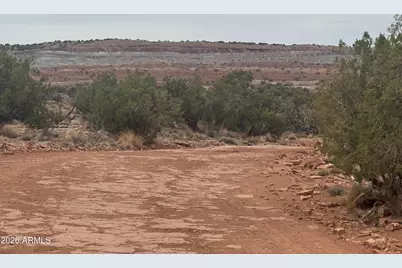 Lot 222 River Springs Ranch -- #222, Saint Johns, AZ 85936 - Photo 19