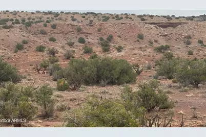 Lot 222 River Springs Ranch -- #222, Saint Johns, AZ 85936 - Photo 17