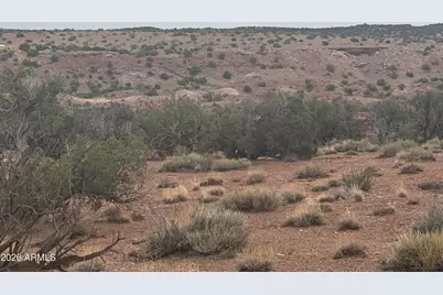 Lot 222 River Springs Ranch -- #222, Saint Johns, AZ 85936 - Photo 9