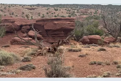 Lot 222 River Springs Ranch -- #222, Saint Johns, AZ 85936 - Photo 13