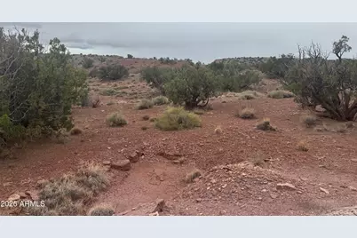 Lot 222 River Springs Ranch -- #222, Saint Johns, AZ 85936 - Photo 11