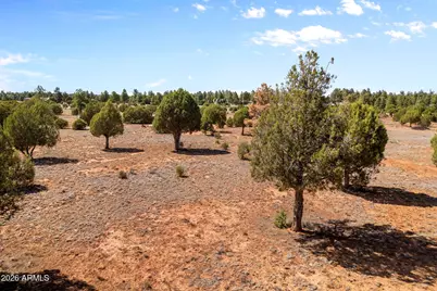 3765 Saddle Bow Road Road #-, Show Low, AZ 85901 - Photo 13