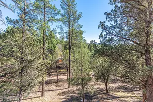 190 S Greystone Circle, Payson, AZ 85541 - Photo 41