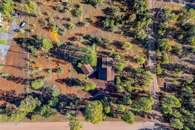 3166 Chevelon Road, Overgaard, AZ 85933 - Photo 37