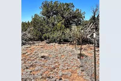 Tbd Co Rd 8307 Lot 100 -- #-, Concho, AZ 85924 - Photo 15