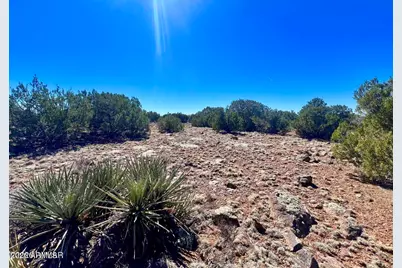 Tbd Co Rd 8307 Lot 100 -- #-, Concho, AZ 85924 - Photo 9