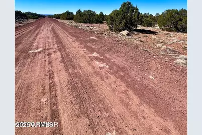 Tbd Co Rd 8307 Lot 100 -- #-, Concho, AZ 85924 - Photo 5