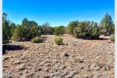Tbd Co Rd 8307 Lot 100 -- #-, Concho, AZ 85924 - Photo 13