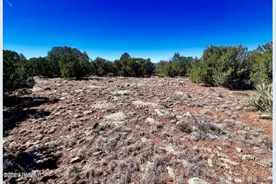Tbd Co Rd 8307 Lot 100 -- #-, Concho, AZ 85924 - Photo 11