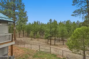 2542 Sioux Ln, Happy Jack, AZ 86024 - Photo 37