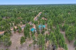 2542 Sioux Ln, Happy Jack, AZ 86024 - Photo 41