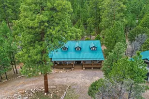 2542 Sioux Ln, Happy Jack, AZ 86024 - Photo 37