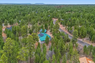 2542 Sioux Ln, Happy Jack, AZ 86024 - Photo 39