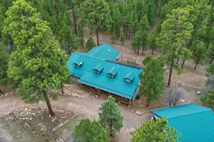 2542 Sioux Ln, Happy Jack, AZ 86024 - Photo 43