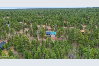 2542 Sioux Lane, Happy Jack, AZ 86024 - Photo 45