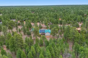 2542 Sioux Ln, Happy Jack, AZ 86024 - Photo 45