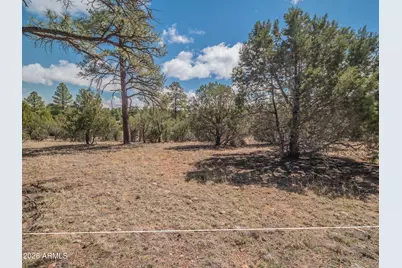 1260 S Lakeside Trail #24, Show Low, AZ 85901 - Photo 23