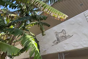 6824 E 2nd St, Scottsdale, AZ 85251 - Photo 25