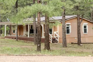 659 Mule Springs Trail, Forest Lakes, AZ 85931 - Photo 3