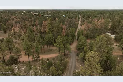 3326 Homestead Drive, Overgaard, AZ 85933 - Photo 69