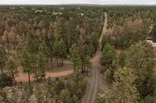 3326 Homestead Dr, Overgaard, AZ 85933 - Photo 69