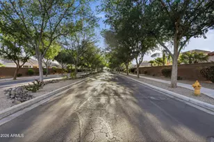 2004 E Canyon Pl, Chandler, AZ 85249 - Photo 43