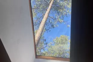 5767 Apache Trail, Pinetop, AZ 85935 - Photo 15