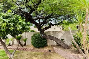 7798 E Buteo Dr, Scottsdale, AZ 85255 - Photo 15