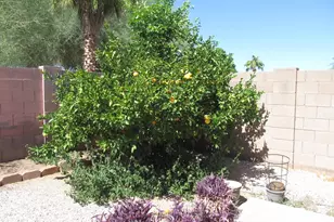 15450 N 161st Ave, Surprise, AZ 85374 - Photo 19