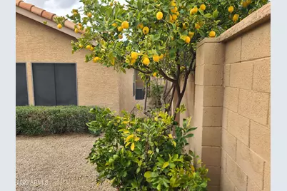 15825 N 51st Street, Scottsdale, AZ 85254 - Photo 7